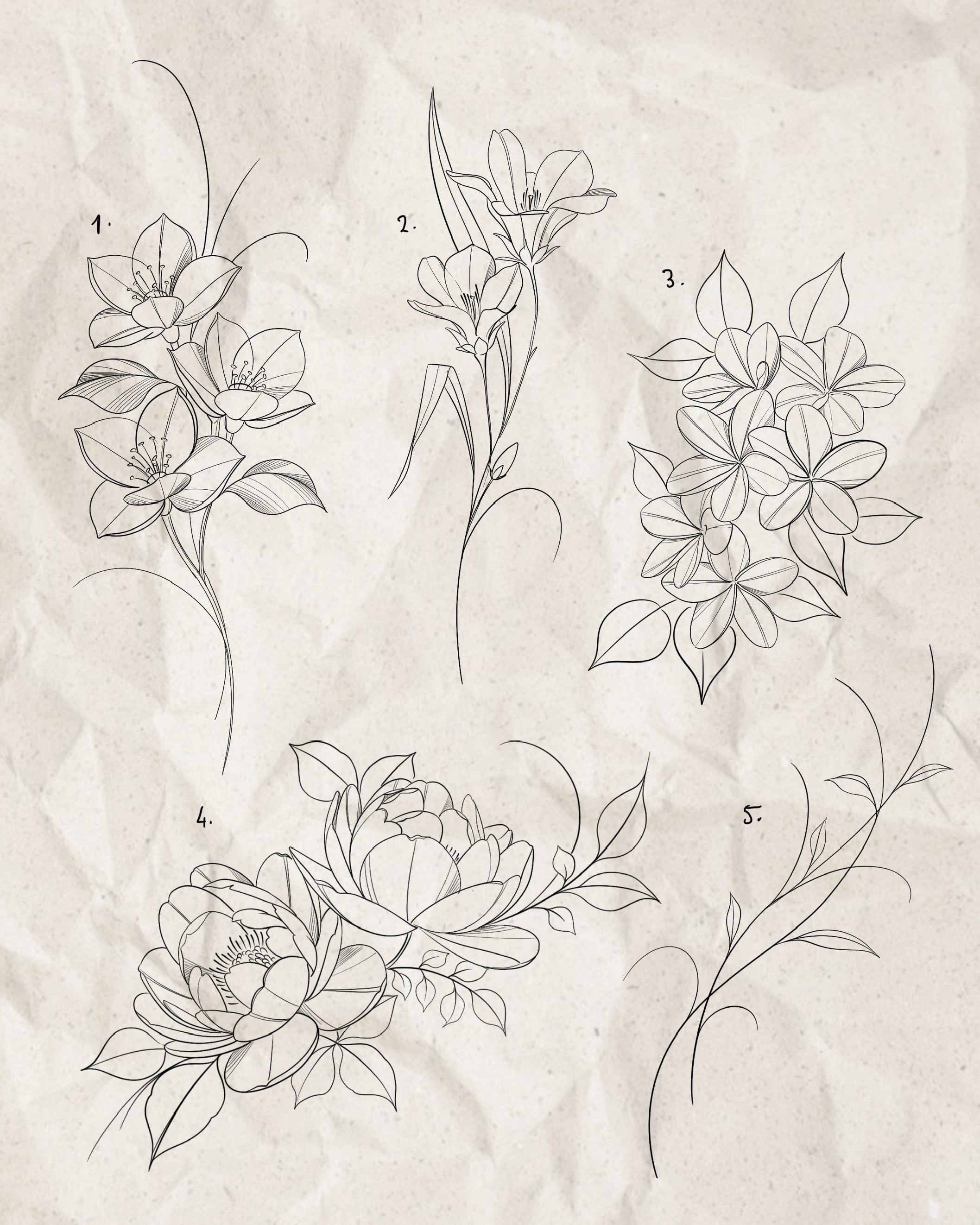 Fine Line and Illustrative inspired designs by Song (2025)