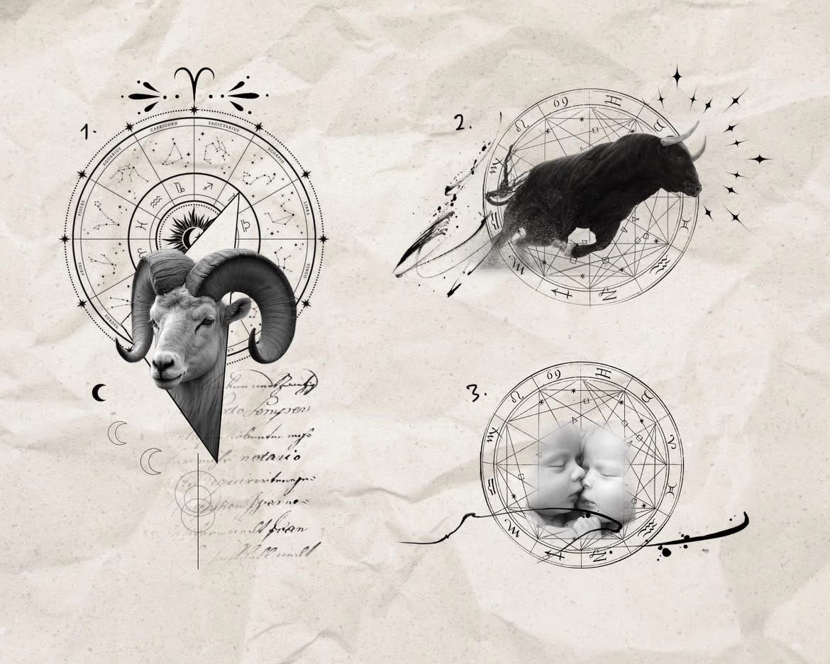 Zodiac and Star Sign inspired designs by Song (2025)