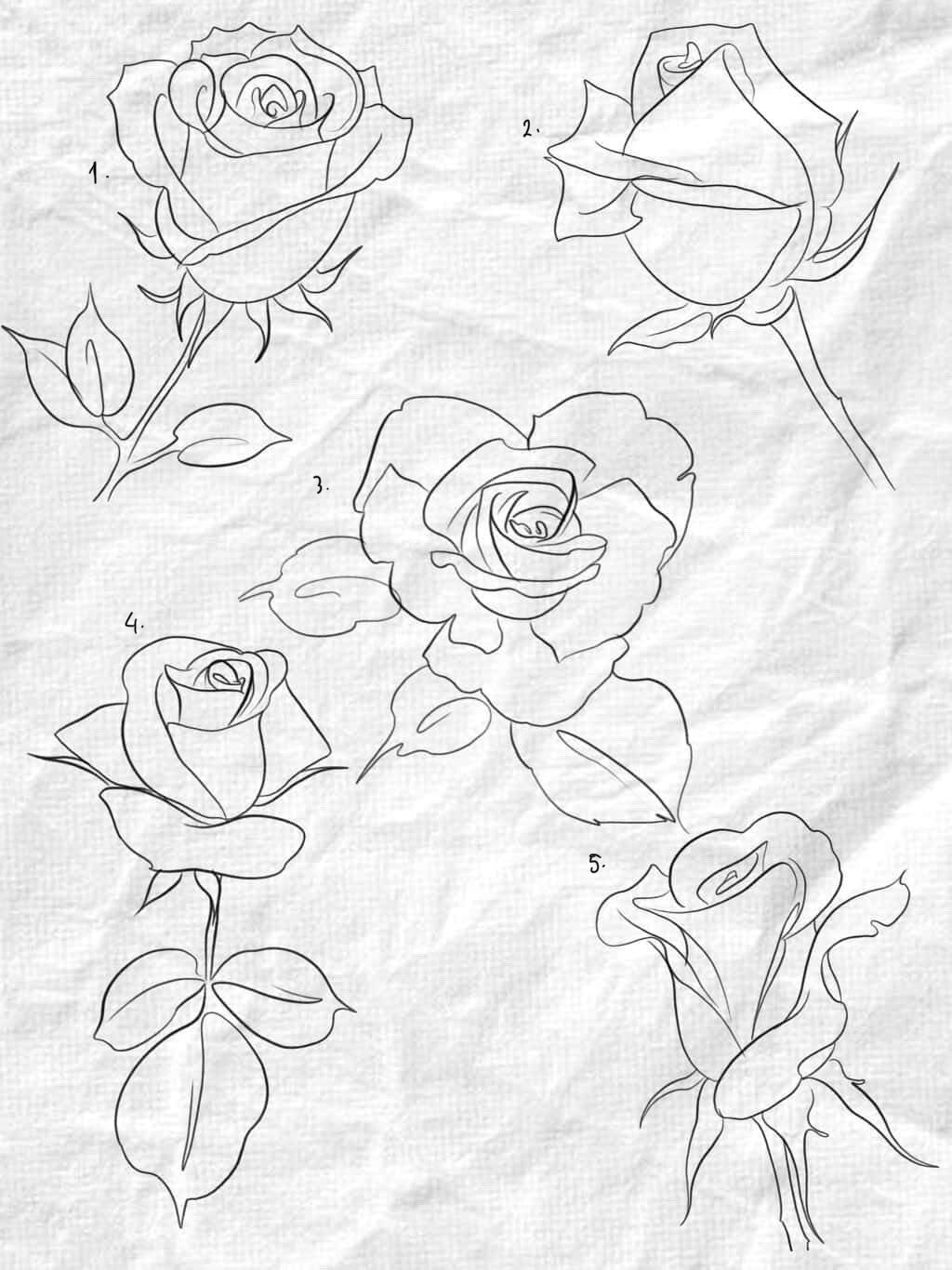 Fine Line and Illustrative inspired designs by Beomhan (2025)