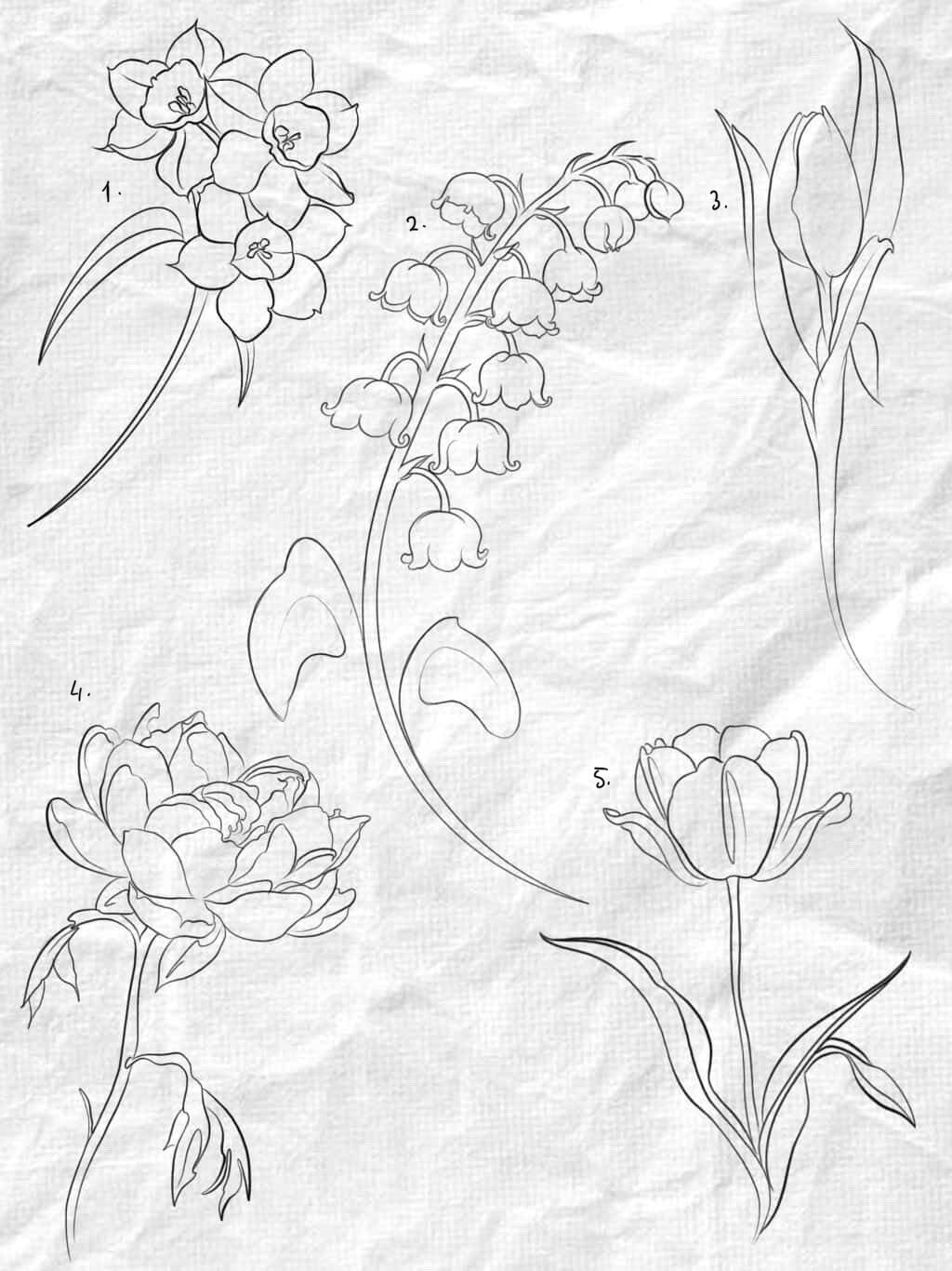 Fine Line and Illustrative inspired designs by Beomhan (2025)