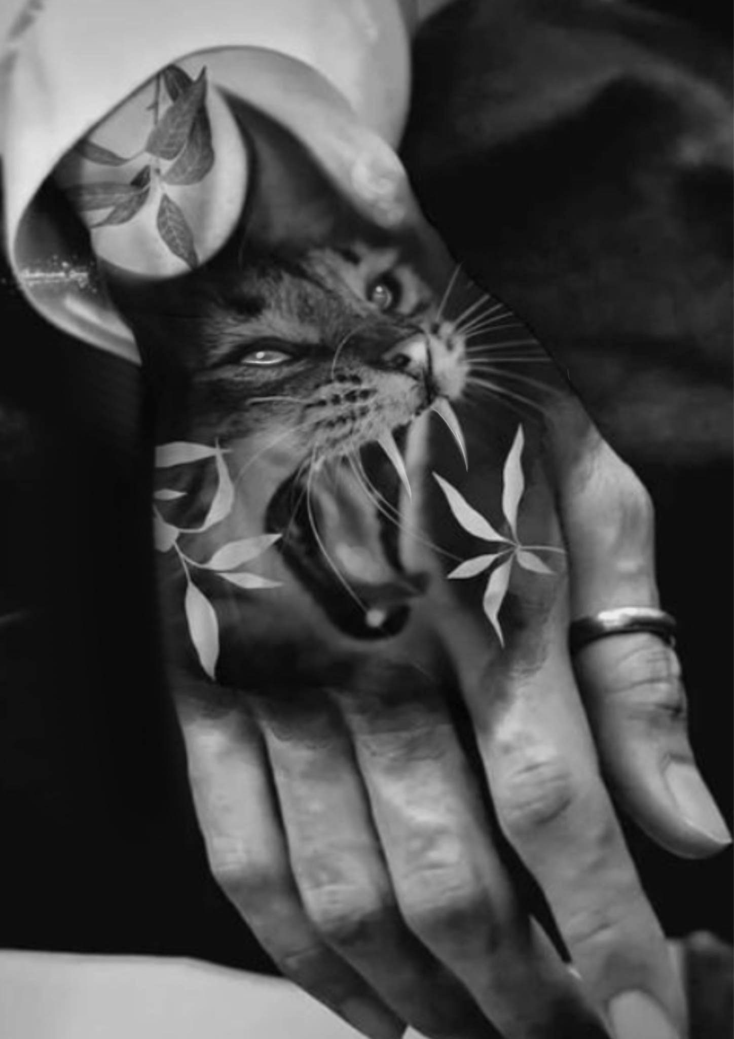 Cat Lover inspired designs by Krista