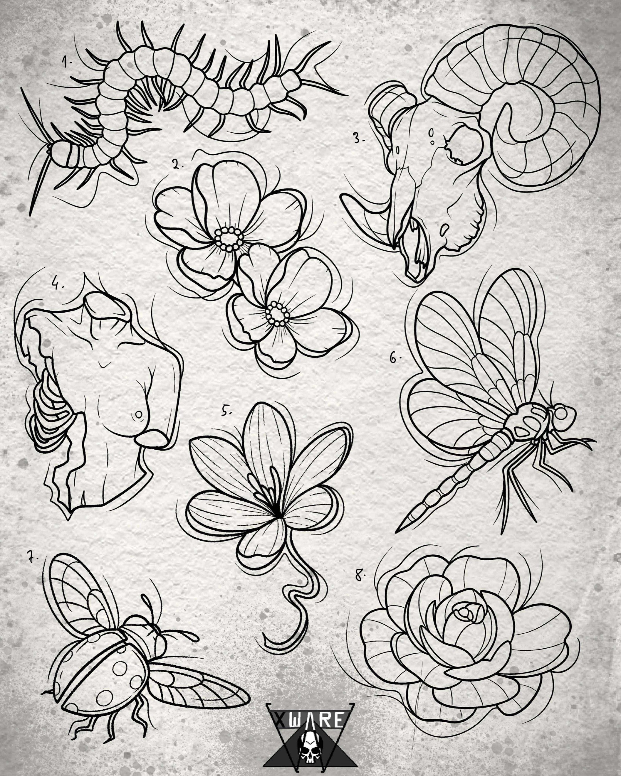Fine Line and Illustrative inspired designs by Emily (2025)