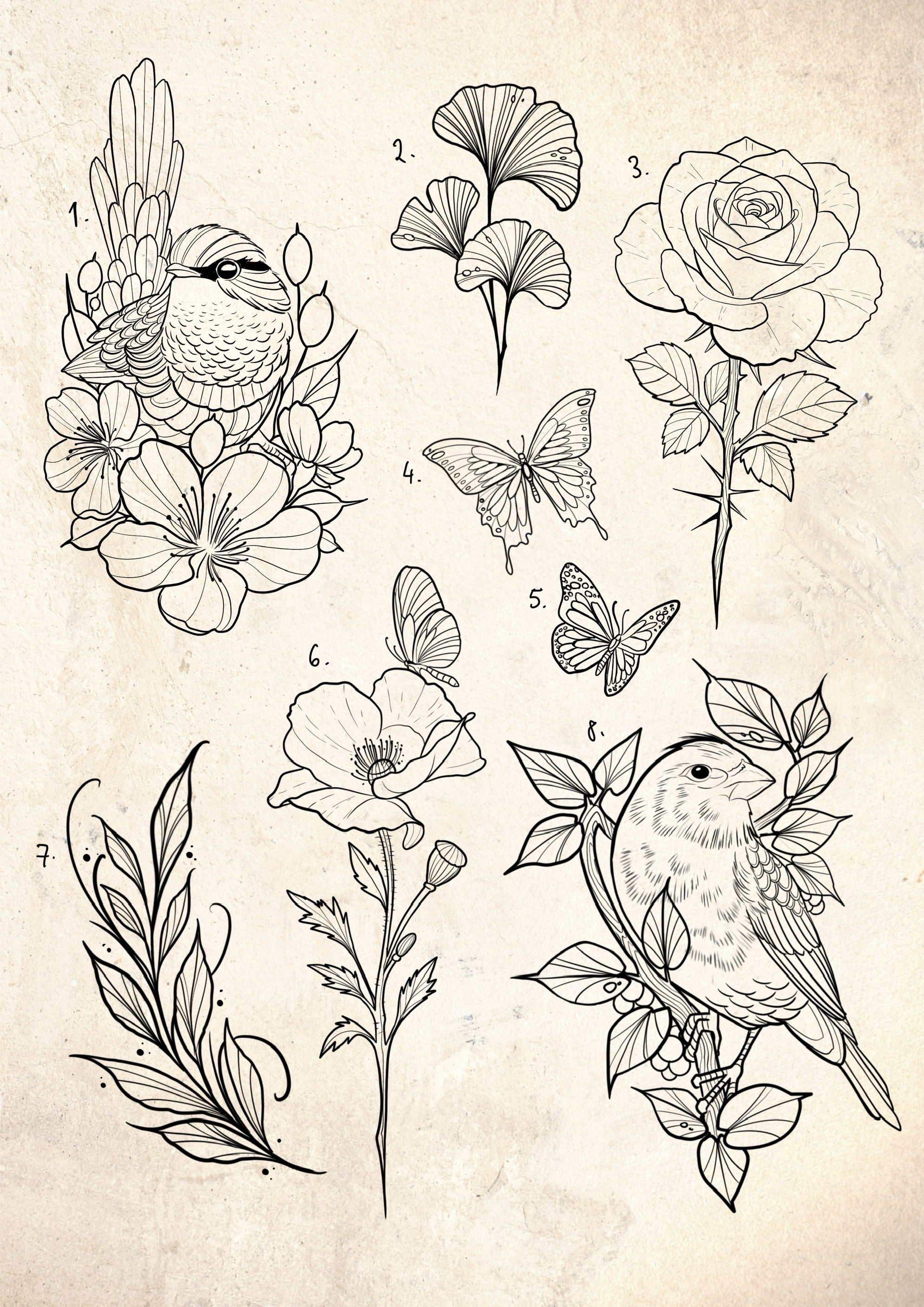 Fine Line and Illustrative inspired designs by Tomas (2025)