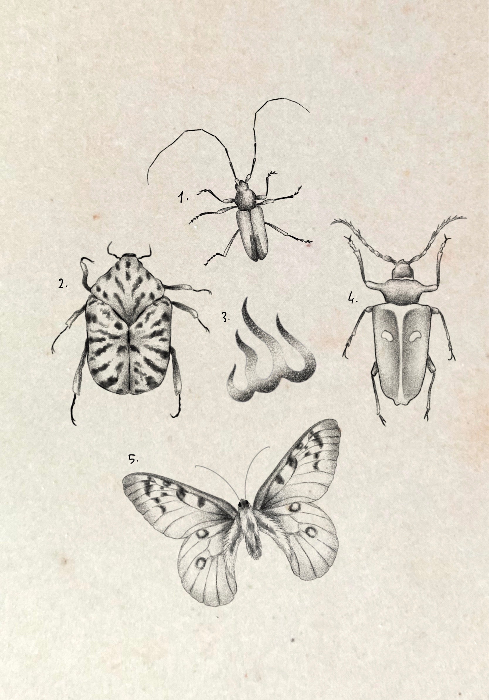 Fine Line and Illustrative inspired designs by Magda (2025)